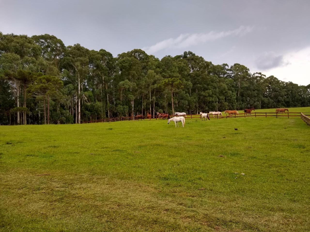 Sitio Rancho Crioulo Guest house Urubici